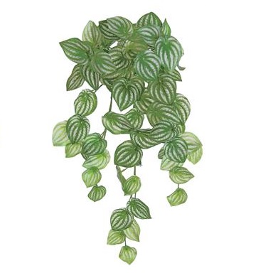 Pelargonium Bush/Vine - Greenery & Floral - hanging greenery artificial